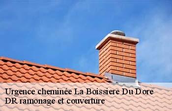 Urgence cheminée  la-boissiere-du-dore-44430 DR ramonage et couverture 