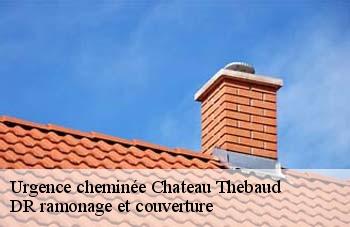 Urgence cheminée  chateau-thebaud-44690 DR ramonage et couverture 