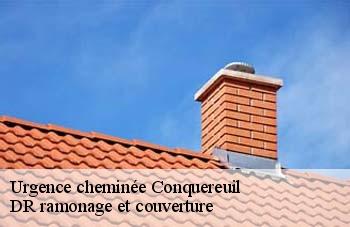 Urgence cheminée  conquereuil-44290 DR ramonage et couverture 