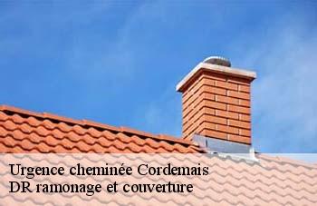 Urgence cheminée  cordemais-44360 DR ramonage et couverture 