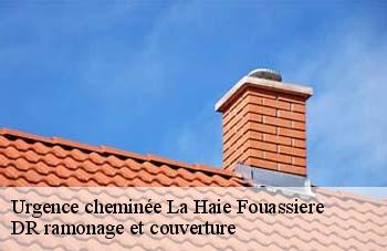 Urgence cheminée  la-haie-fouassiere-44690 DR ramonage et couverture 