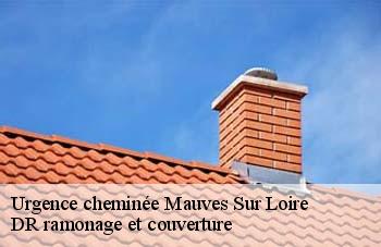 Urgence cheminée  mauves-sur-loire-44470 DR ramonage et couverture 