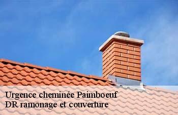 Urgence cheminée  paimboeuf-44560 DR ramonage et couverture 