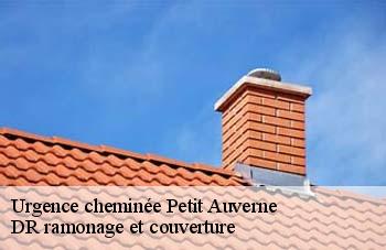 Urgence cheminée  petit-auverne-44670 DR ramonage et couverture 