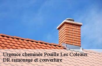 Urgence cheminée  pouille-les-coteaux-44522 DR ramonage et couverture 