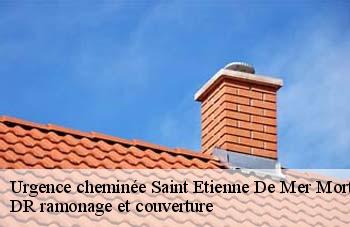 Urgence cheminée  saint-etienne-de-mer-morte-44270 DR ramonage et couverture 