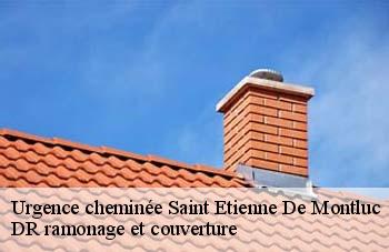 Urgence cheminée  saint-etienne-de-montluc-44360 DR ramonage et couverture 