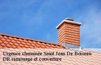 Urgence cheminée  saint-jean-de-boiseau-44640 DR ramonage et couverture 