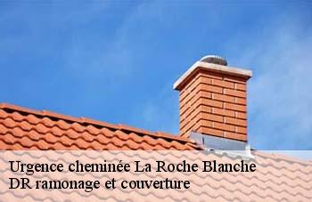 Urgence cheminée  la-roche-blanche-44522 DR ramonage et couverture 