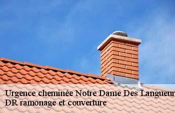 Urgence cheminée  notre-dame-des-langueurs-44440 DR ramonage et couverture 