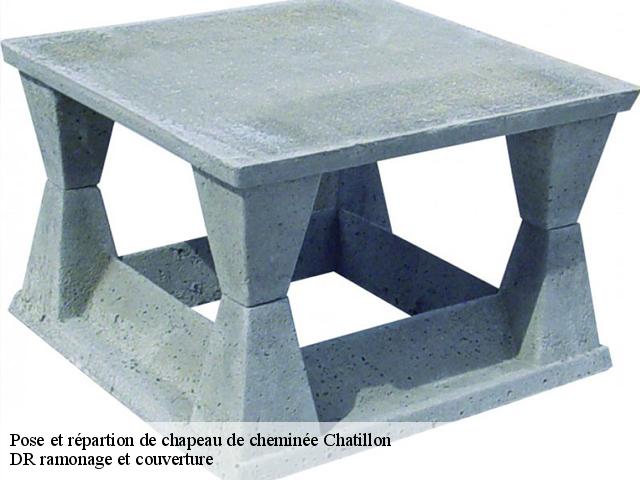 Pose et répartion de chapeau de cheminée  chatillon-92320 DR ramonage et couverture 